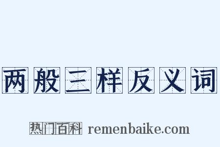 两般三样反义词是什么意思的图片
